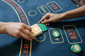 56 com bet